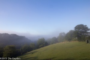 Morgennebel